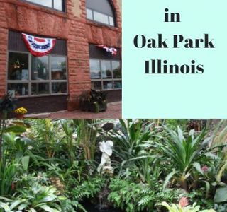 Oak Park River Forest Museum