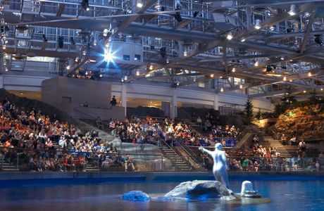 Shedd Aquarium