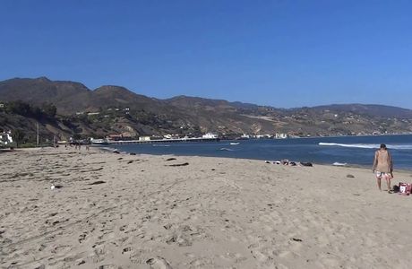 Malibu Lagoon State Beach