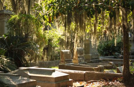 Bonaventure Cemetery