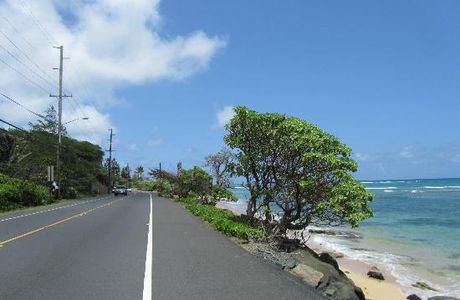 Kamehameha Highway