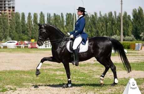 Ai-Vasil Equestrian Club