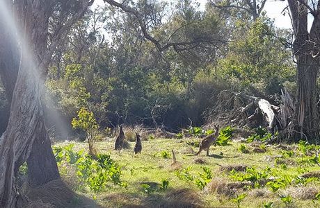 Tuart Forest National Park
