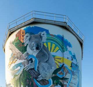 Narrandera Water Tower Art