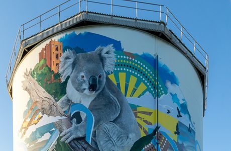 Narrandera Water Tower Art