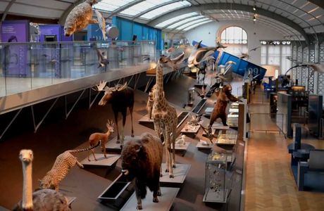 Museum of Natural Sciences