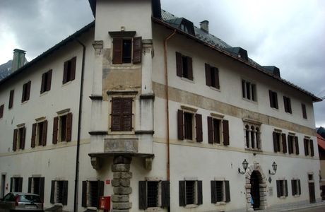 Tiglio di Palazzo Veneziano