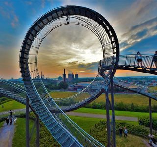 Tiger & Turtle