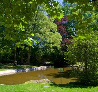 Jardin Royal