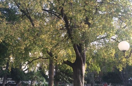 Jardin Alexandre 1er
