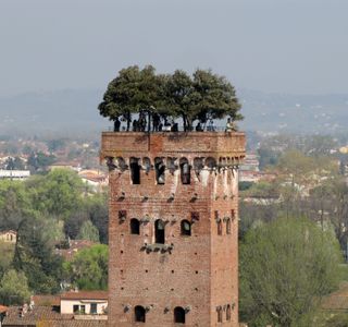 Torre Guinigi