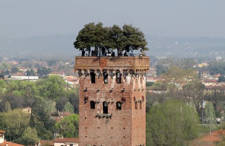 Torre Guinigi