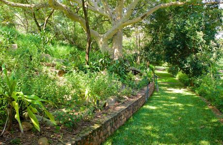 Botanical Dry Garden