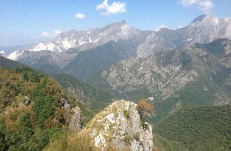 L'Orto Botanico Pellegrini Ansaldi
