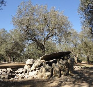Dolmen Grassi