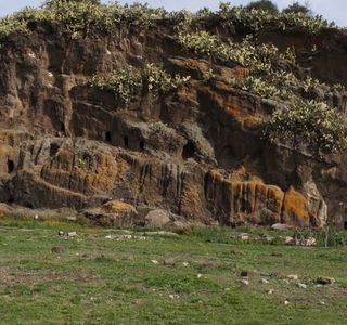 Area archeologica di Palike'