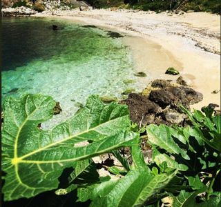 I Cosi Ruci
