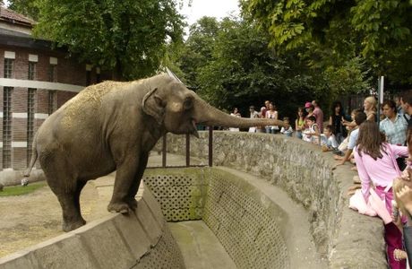 Belgrade Zoo
