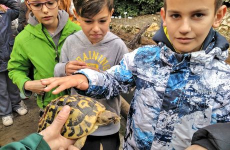 C.R.A.R.C Centre de Recuperació d'Amfibis i Rèptils de Catalunya