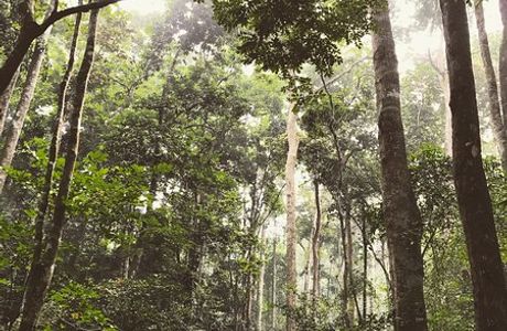 Banco National Park