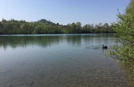 Parco "Il Lago" di Altavilla Vicentina