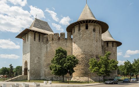 Cetatea Almasului 1
