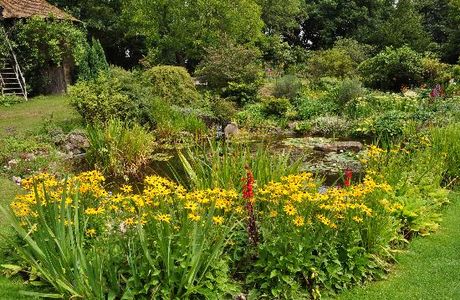 Beech Court Gardens