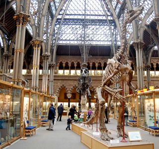 Oxford University Museum of Natural History