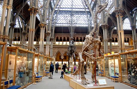 Oxford University Museum of Natural History