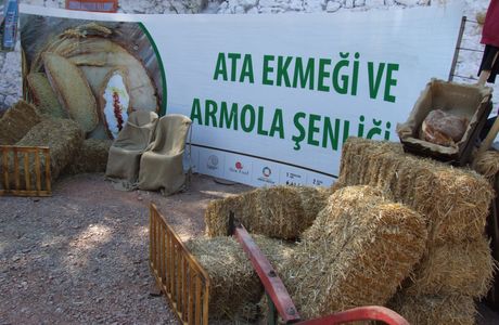 Ata Ekmegi Armola Senligi