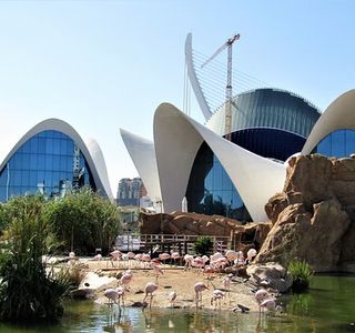 Oceanogràfic València