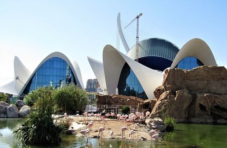 Oceanogràfic València