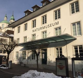 Naturmuseum Solothurn