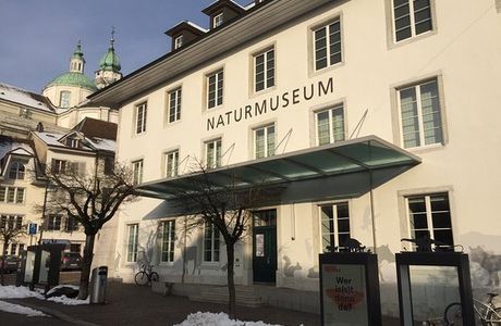 Naturmuseum Solothurn