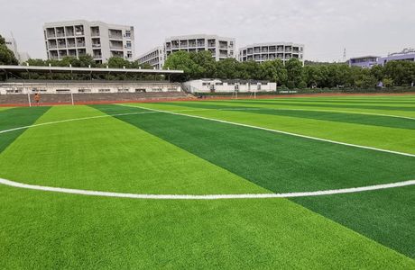 Football field