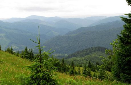 National Park Skole Beskids