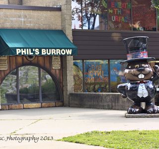 Phil's Burrow
