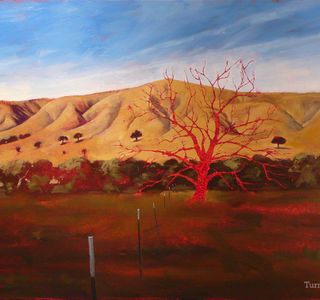 Salinas Valley Art Gallery