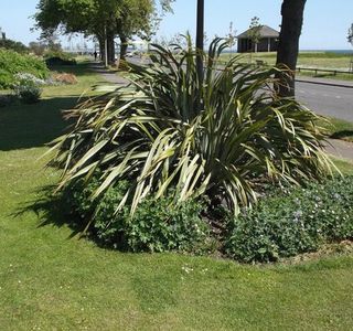 Barnhill Rock Garden