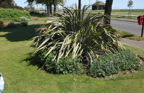 Barnhill Rock Garden