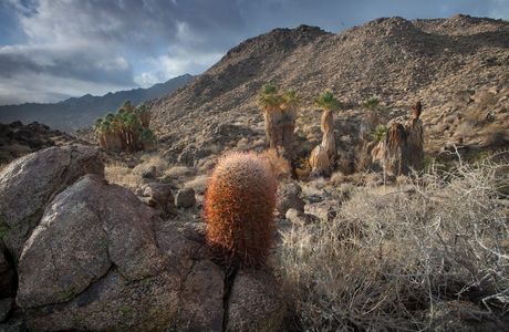 Santa Rosa & San Jacinto Mountains National Monument Visitor Center