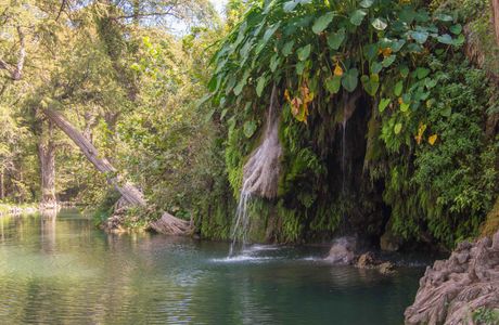 Krause Springs