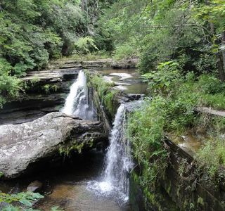 Savage Gulf State Natural Area