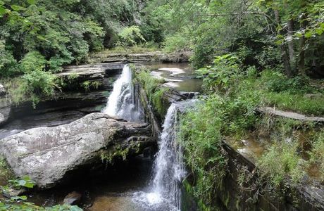 Savage Gulf State Natural Area