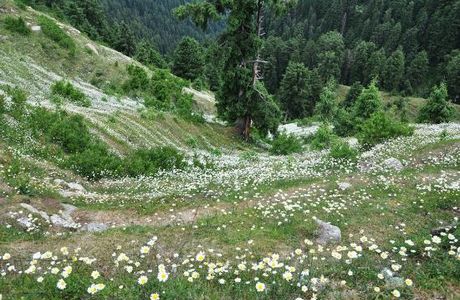Bara Pathar Temple