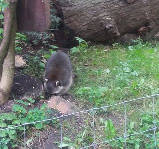 Tierpark Zittau