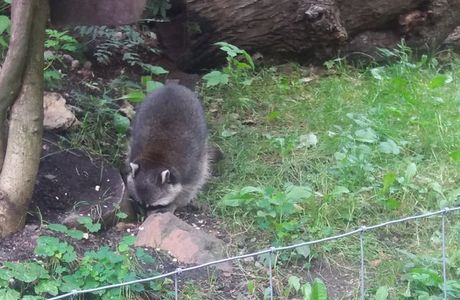 Tierpark Zittau