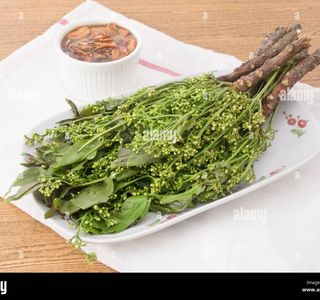 Nimbin Herbs
