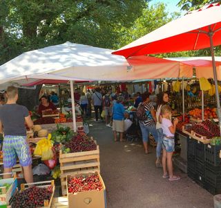 Green Market