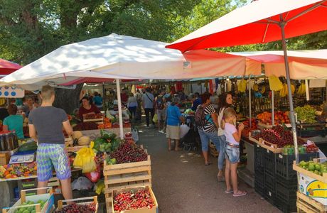 Green Market
